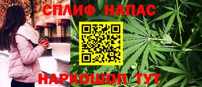 спиды Шелехов