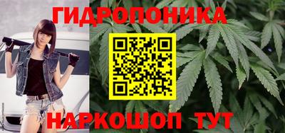 спиды Шелехов
