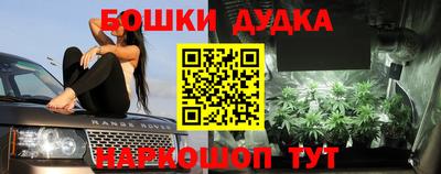 спиды Шелехов