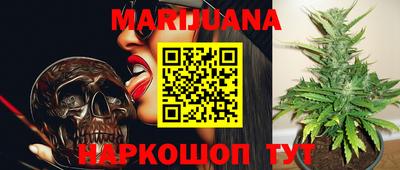стаф Шебекино