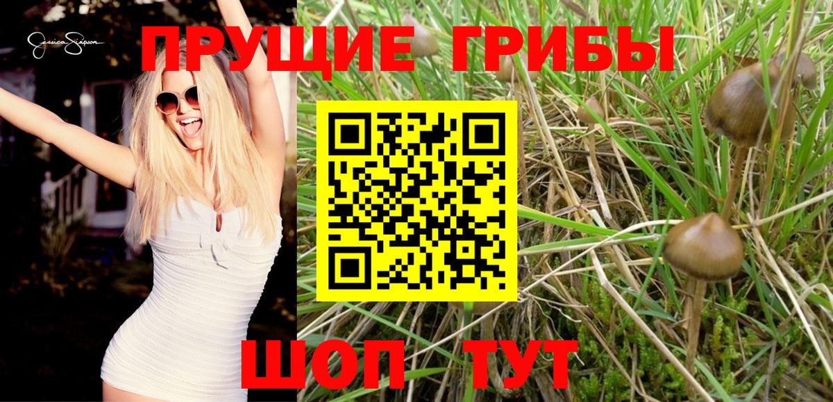 Сургут  Псилоцибиновые грибы Magic Shrooms  Вход с VPN 